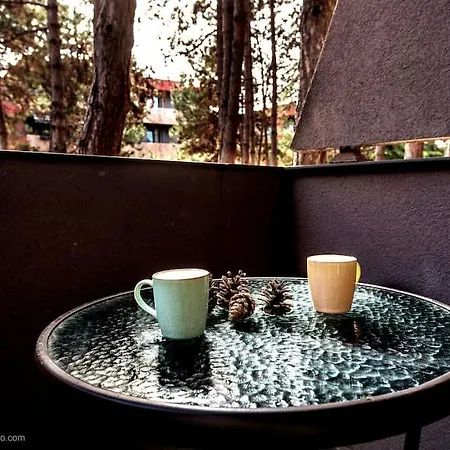 Aquarelle - Forest Chill * Варна